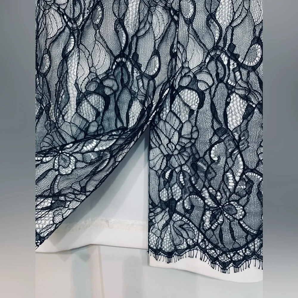ANN TAYLOR Black Lace Pencil Skirt - Picture 4 of 8